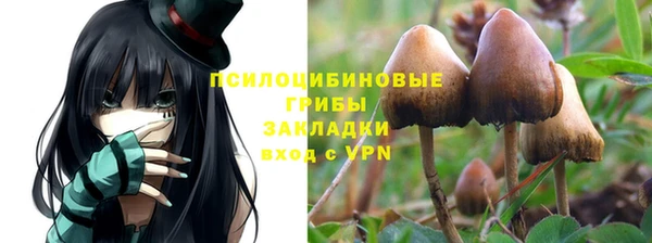 мдпв Одинцово
