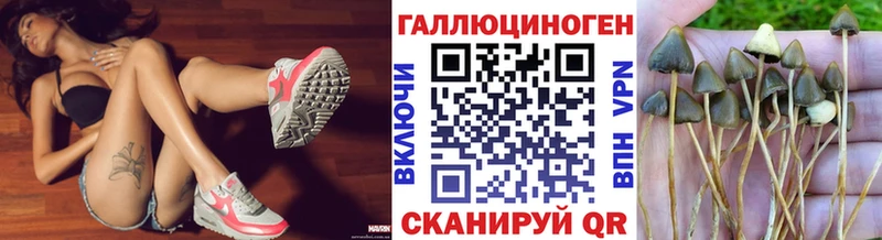 Псилоцибиновые грибы GOLDEN TEACHER  Нестеровская 